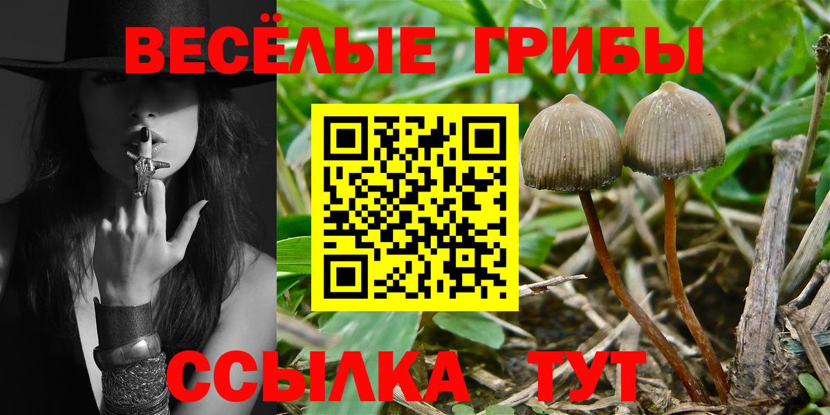 Острогожск  Псилоцибиновые грибы Cubensis  Галлюциногенные грибы Psilocybine cubensis  Вход с VPN 